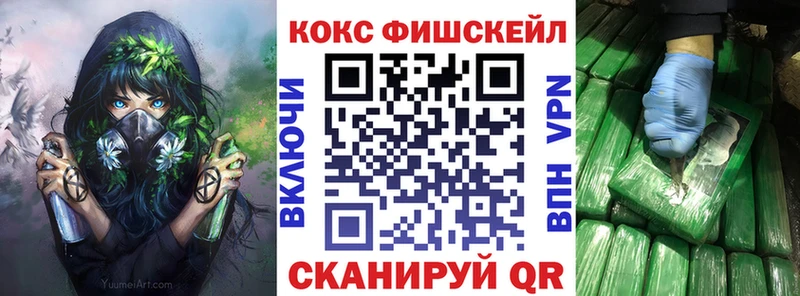 КОКАИН FishScale  дарнет шоп  Змеиногорск 
