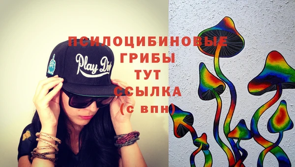 крисы Волоколамск