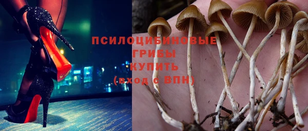 МДПВ Касимов