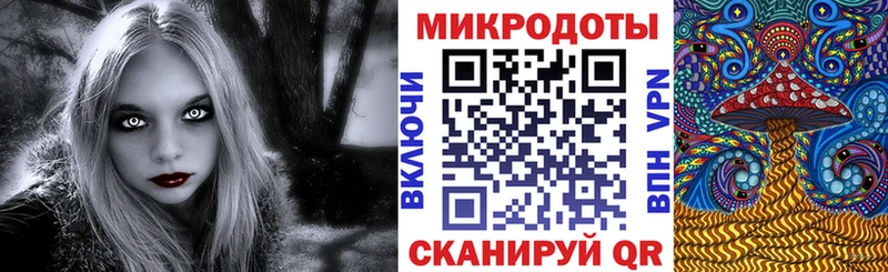 Псилоцибиновые грибы Magic Shrooms  купить наркотики цена  Змеиногорск 